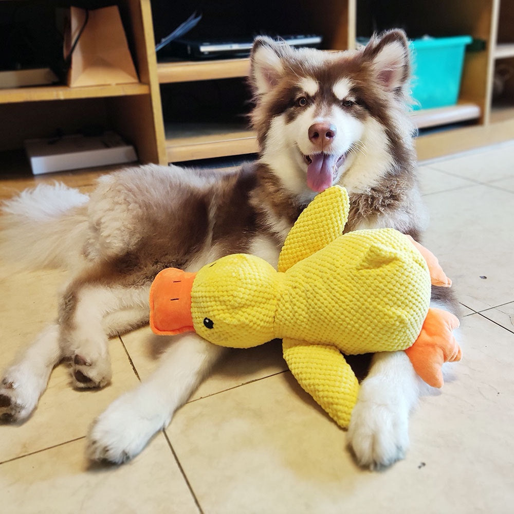Doggo-Instinct Duck